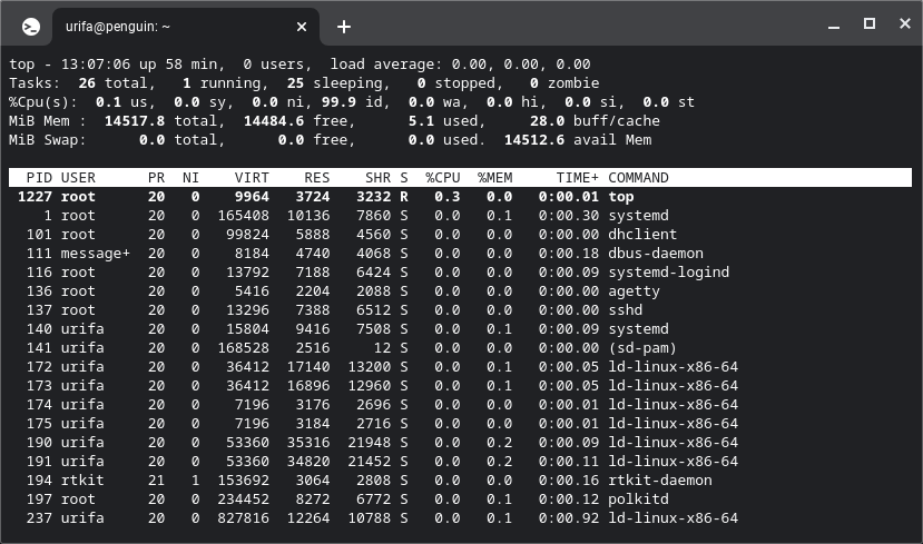 ChromeOS. Entorno Linux Terminal Top